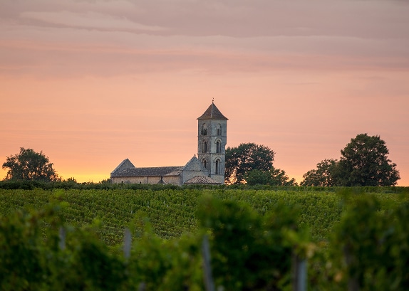 Ancienne église romane à tour carrée dans un vignoble au coucher du soleil, ciel rose-orangé.