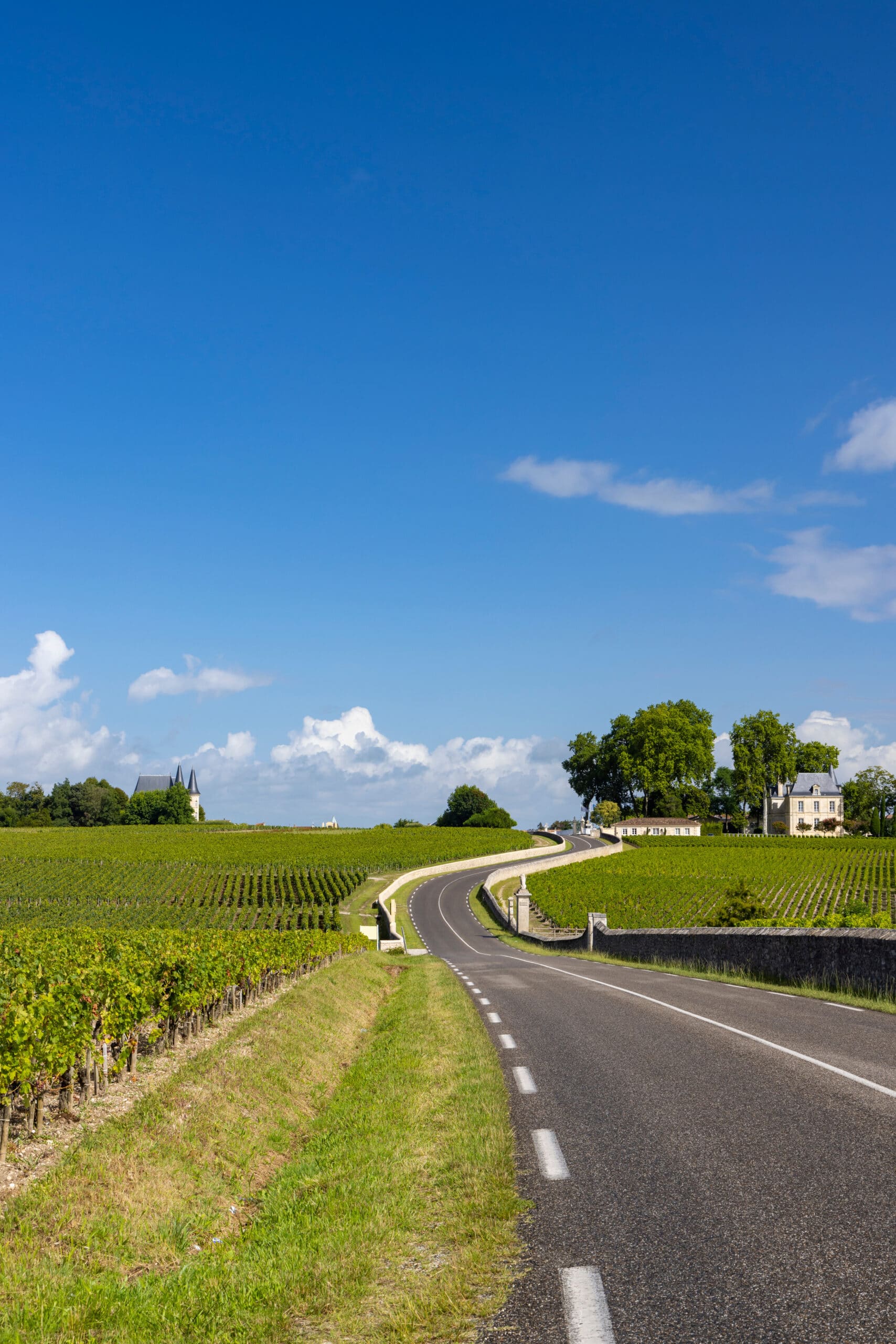 Route sinueuse à travers des vignobles verdoyants menant à un château avec des toits pointus sous un ciel bleu et nuageux.
